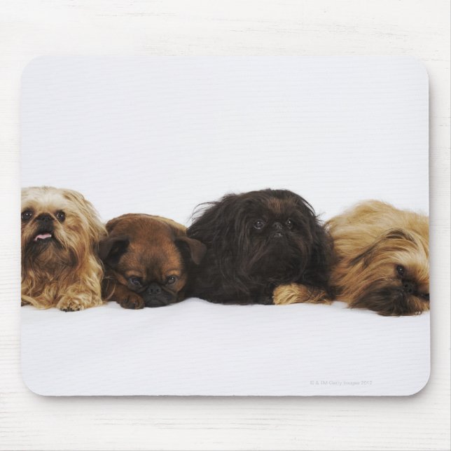 Three Pekingese dogs and single Pug lying down Mouse Pad (Front)