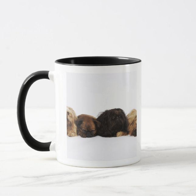 Three Pekingese dogs and single Pug lying down Mug (Left)
