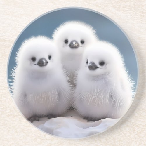 Three Penguin Chicks Coaster