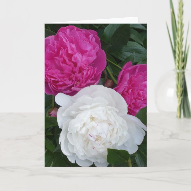 Three peonies notecard (Front)