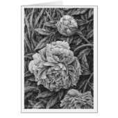 Three Peonies Pen and Ink Drawing Card (Front)