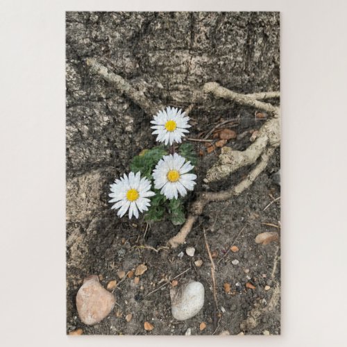 Three perfect Daisies against a tree trunk Jigsaw Puzzle