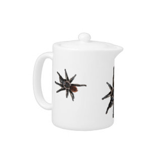 three pet tarantula spider tea pot