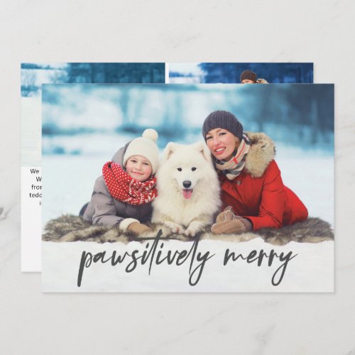 Three Photo Pet Saying Pawsitively Merry Holiday Card