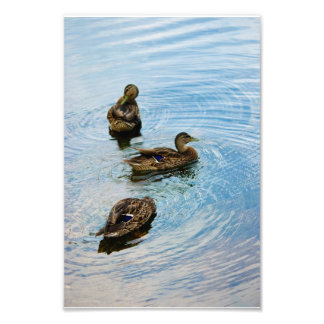 Three Photo Print