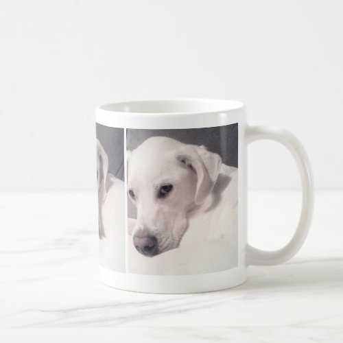 Three Photos of Pretty White Dog Coffee Mug