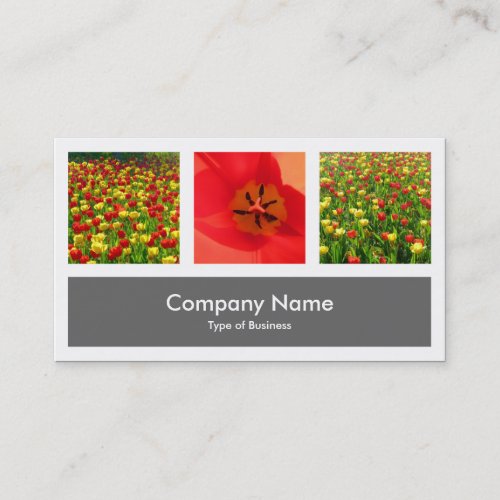 Three Photos Plus One - Gray Business Card Template