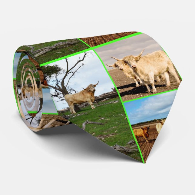 Three Picture Highland Cow Collage, Neck Tie (Rolled)
