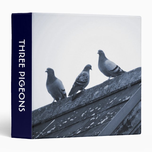 Three Pigeons on a Roof (1.5in) 3 Ring Binder (Front/Spine)
