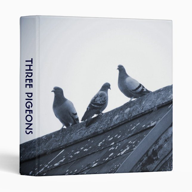 Three Pigeons on a Roof (1in) 3 Ring Binder (Front/Spine)