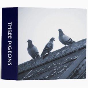 Three Pigeons on a Roof (2in) Binder