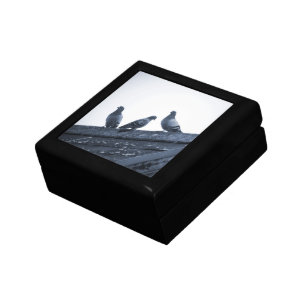 Three Pigeons on a Roof Gift Box