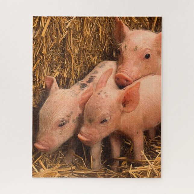 three piglets jigsaw puzzle (Vertical)