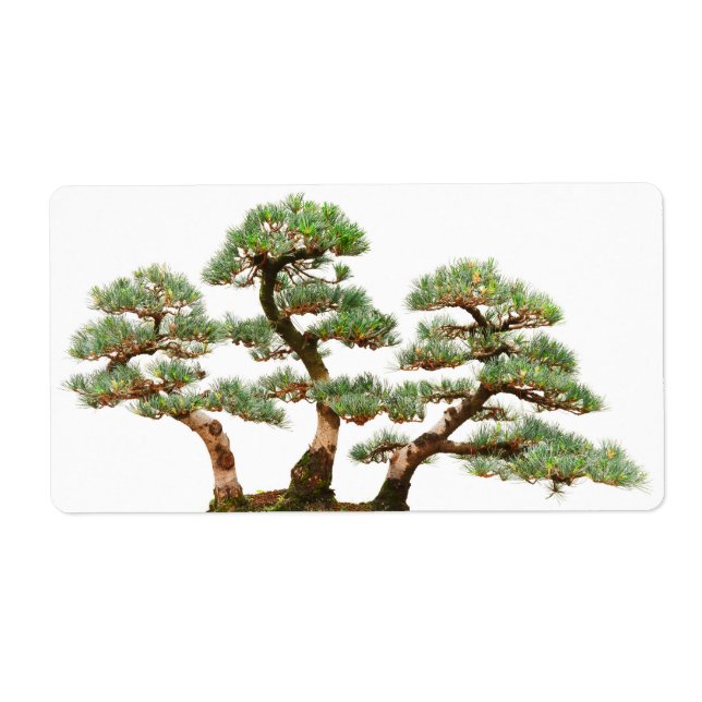 three pine bonsai trees label (Front)