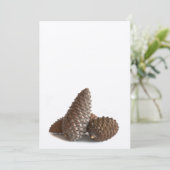 Three pinecones (Standing Front)