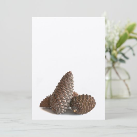 Three pinecones (Standing Front)