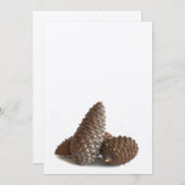 Three pinecones (Front/Back)