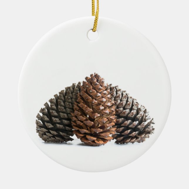 Three pinecones ceramic ornament (Front)
