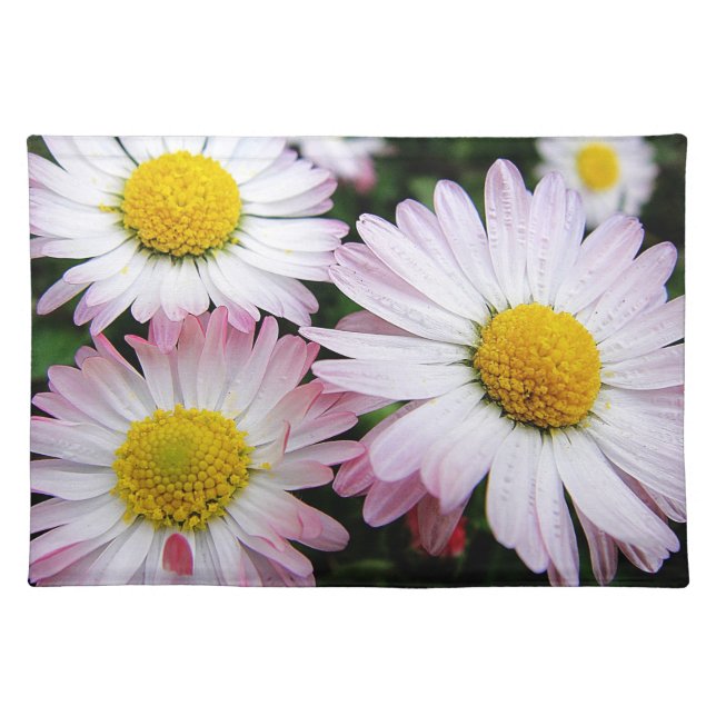 Three pink and white daisies cloth placemat (Front)