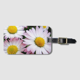 Three pink and white daisies luggage tag