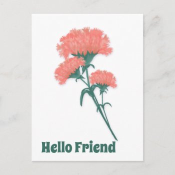 Three Pink Carnations  Hello Friend Postcard by randysgrandma at Zazzle