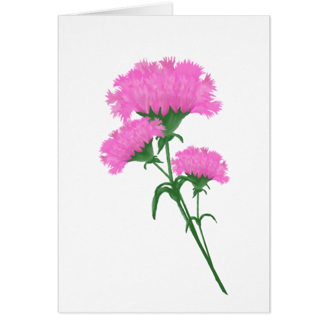 Three Pink Carnations Stationary any purpose Cards (Front)