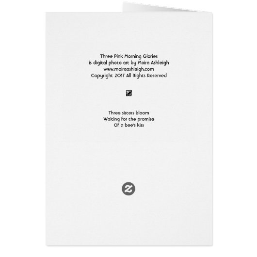 Three Pink Morning Glories (Back)