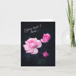 Three Pink Roses on a dark background. Add text. Card