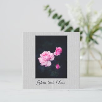 Three Pink Roses on a dark background. Add text. Card