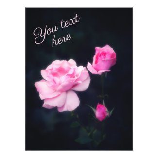 Three Pink Roses on a dark background. Add text. Photo Print