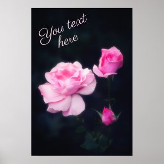 Three Pink Roses on a dark background. Add text. Poster
