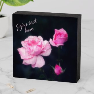 Three Pink Roses on a dark background. Add text. Wooden Box Sign