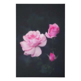 Three Pink Roses on a dark background. Faux Canvas Print