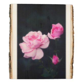 Three Pink Roses on a dark background. Wood Panel