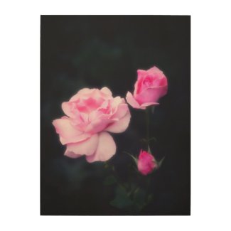Three Pink Roses on a dark background. Wood Print