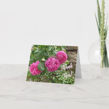 Three Pink Roses/thank You! Note Card by whatawonderfulworld at Zazzle