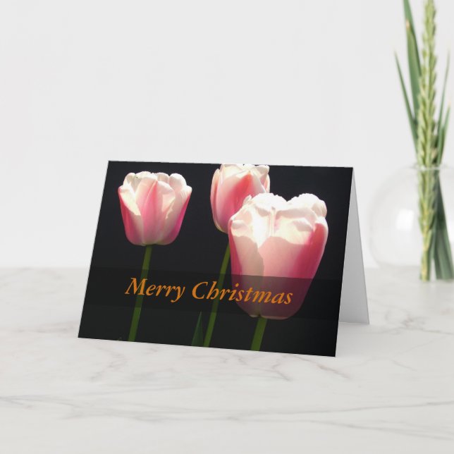 Three pink tulip flowers.  Christmas, holidays. Holiday Card (Front)
