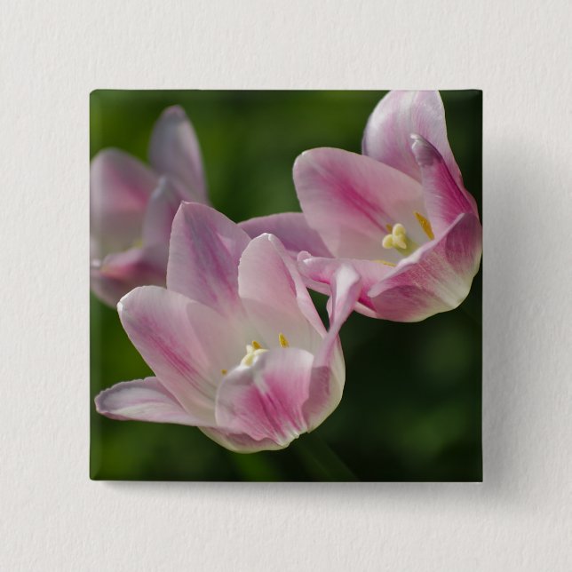 Three pink tulips button (Front)