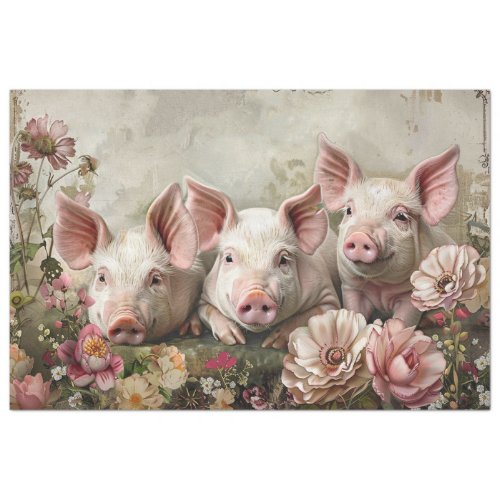 Three Pinky Pigs  Tissue Paper