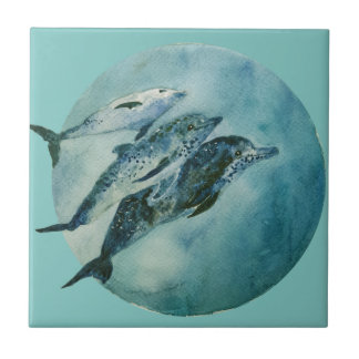 Three Playful Dolphins Ceramic Tile
