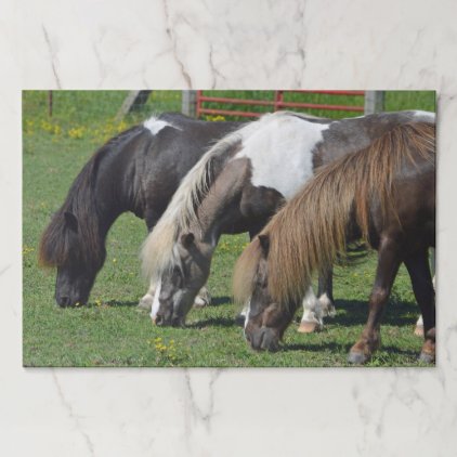 Three Ponies In A Row Paper Pad