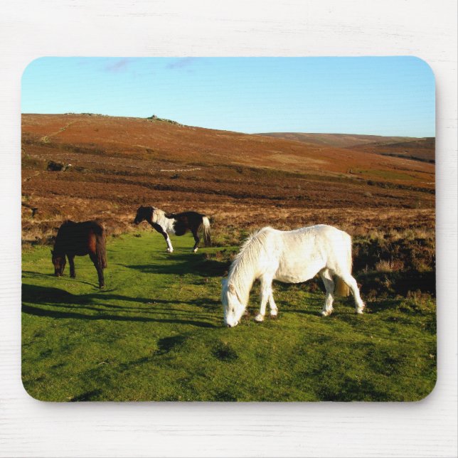 Three ponies on Dartmoor Mouse Pad (Front)