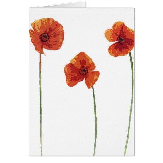 Three Poppy's Cards (Front)