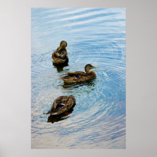 Three Poster