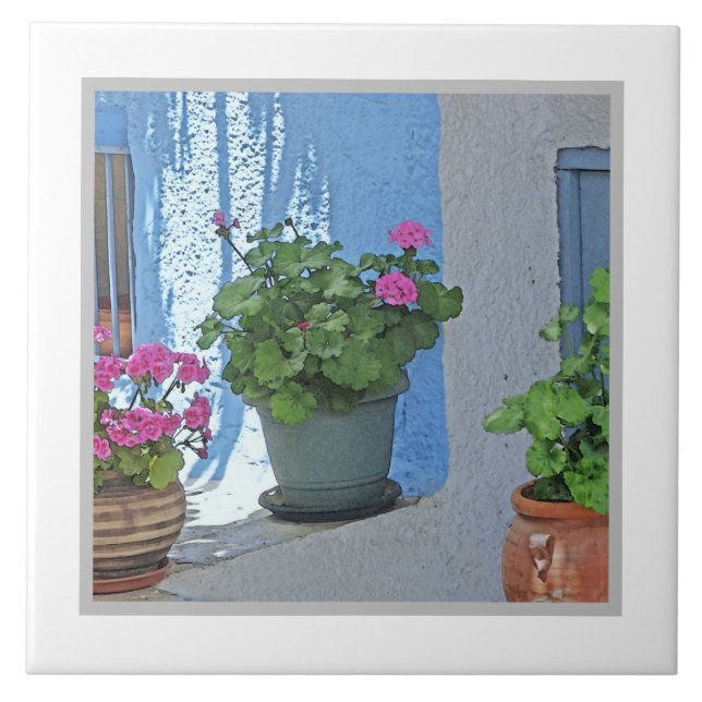 THREE POTTED PINK GERANIUMS/BLUE WALL CERAMIC TILE (Front)