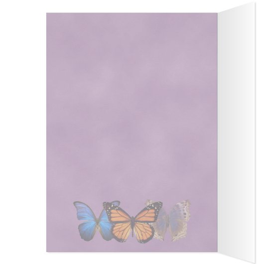 Three Pretty Butterflies (Inside (Left))