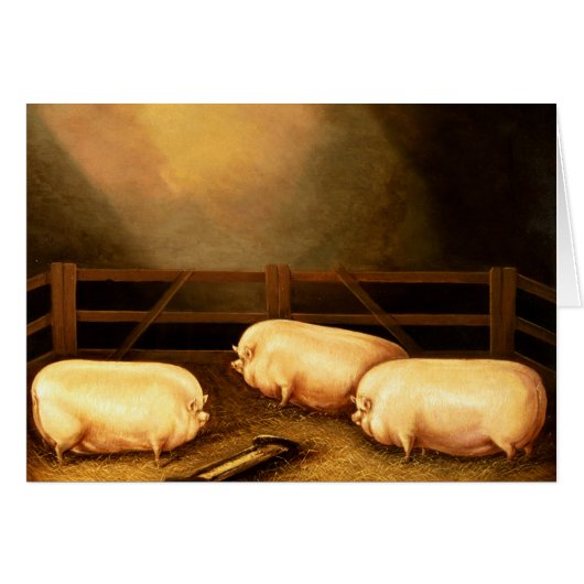 Three Prize Pigs outside a Sty Cards (Front Horizontal)