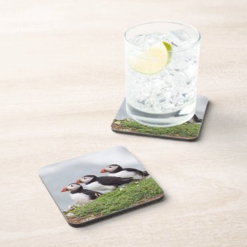 Three Puffins Coaster by Welshpixels at Zazzle
