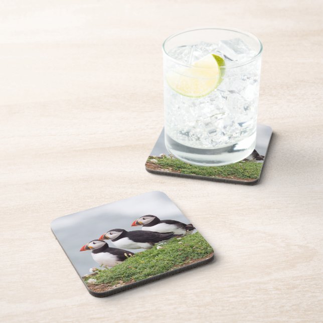 Three Puffins Coaster (Right Side)
