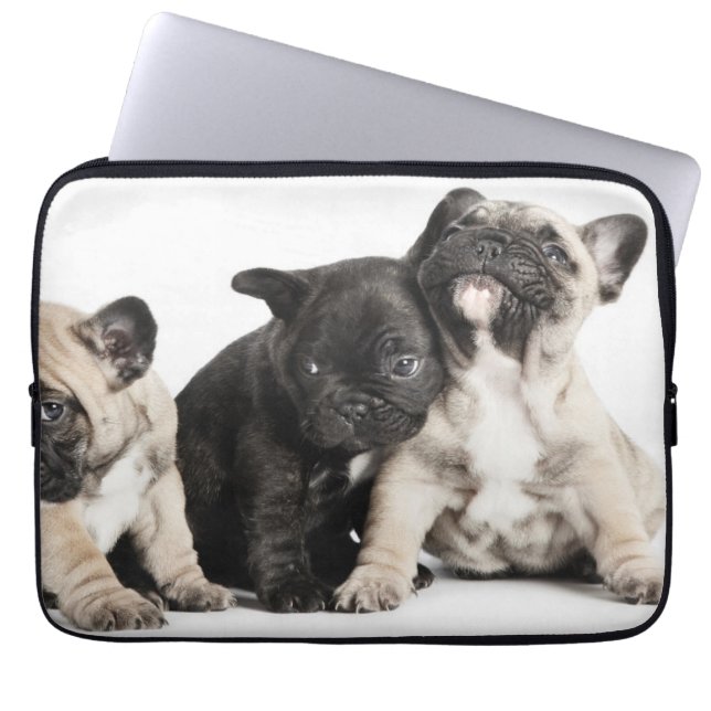 Three Pug Puppies Laptop Sleeve (Front)
